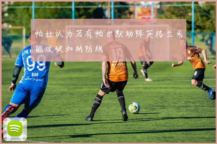 帕杜认为若有帕尔默助阵英格兰或能攻破加纳防线